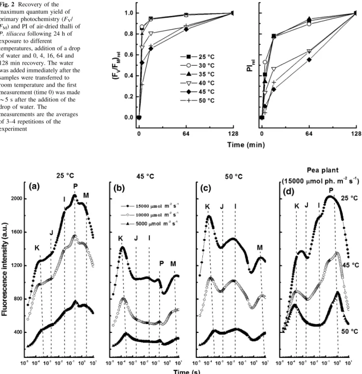 Fig. 2 Recovery of the maximum quantum yield of primary photochemistry (F V / F M ) and PI of air-dried thalli of P