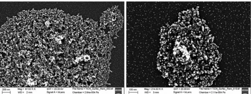 Fig. 8 SEM observation of the in-flight coated TiCN particles (sample 7)