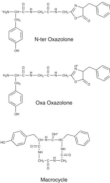Figure 5 displays the vibrational spectra of four different isomers of the b 4 ion from YGGFL that we can distinguish with our double-resonance technique together with those of