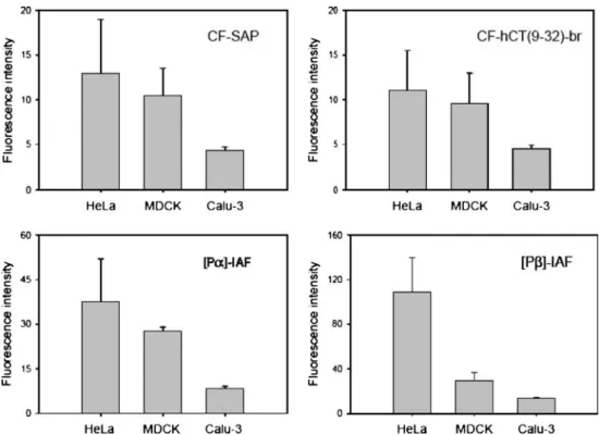 Table II. Protein contents and Cell Densities in HeLa, MDCK and Calu-3 Cell Models