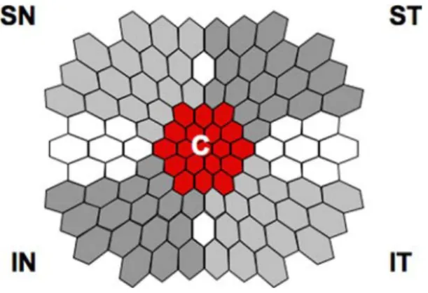 Figure 1 shows the three epochs of the first order response component that were analyzed: