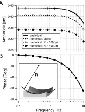 Fig. 3. a Dependence of the displacement amplitude at low frequen- frequen-cies on the curvature radius