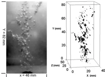 Fig. 6 Morphological consistency is verified in the case of discrete static bubbles. Left 2D image of y-x panel using a normal digital camera