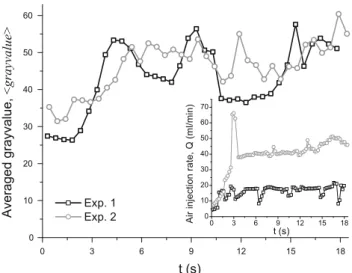 Fig. 8 Averaged grayvalue (termed hgrayvaluei) in time for the two experiments. Insert: the recorded injection rates in time
