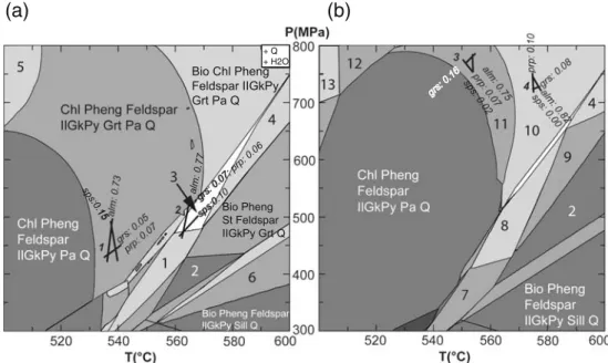 Fig. 9 a Pseudosection calculated for bulk rock composition of sample C04 (Table 2) with H 2 O and quartz saturation