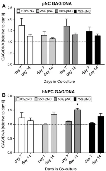 Fig. 3 GAG/DNA ratio of a porcine notochordal cells (pNCs) and b bovine nucleus pulposus cells (bNPCs)