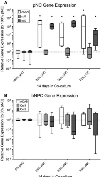 Fig. 4 Relative Gene Expression after 14 days in co-culture of bNPCs and pNCs in 3-D microspheres in alginate, respectively.