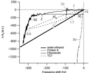Fig. 6 The frequency decreases during adsorption of proteins or cells