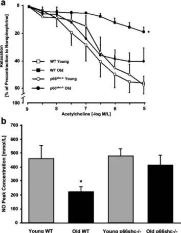 Fig. 2 a Age-induced changes in endothelium-dependent relaxation of WT and p66shc-/- aortas