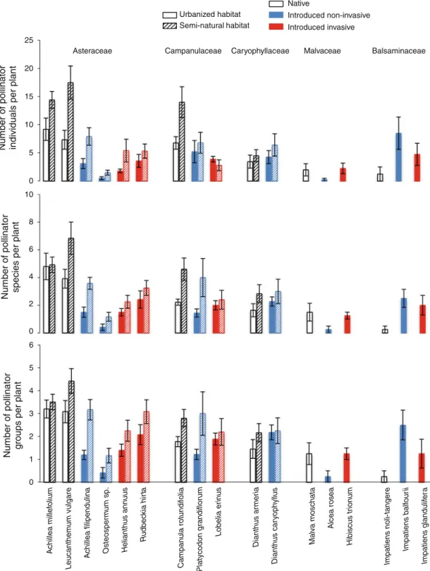 Fig. 1 Numbers of pollinator individuals (top), morpho-species (middle) and taxonomic groups (bottom) per plant species observed within 30 min in urbanized and semi-natural habitats in Switzerland, shown are means ± 1SE