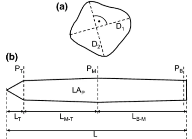 Fig. 1 Geometrical model developed in this study to calculate total leaf area of Norway spruce needles and its inputs: (a) needle  cross-section and its major (D 1 ) and minor (D 2 ) diameters, (b) schematic position of three cross-sections (P T , P M , P 