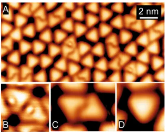 Fig. 1. (Color online) STM images of diﬀerent phases of the reaction. (A) Sample annealed at 470 K showing mainly the ﬁnal triangular TBC (scan parameters: −0.6 V; 50 pA)