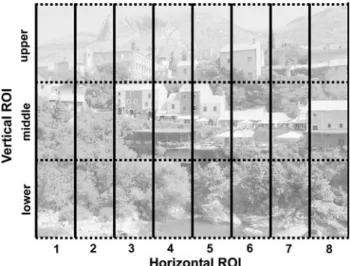 Fig. 1 Topographic analysis of the distribution of the cumulative Wxation duration with deWnition of horizontal and vertical ROIs