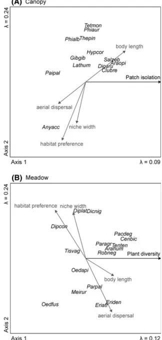 Table 3 Test for differences in species traits for spiders in the canopy and meadow groups
