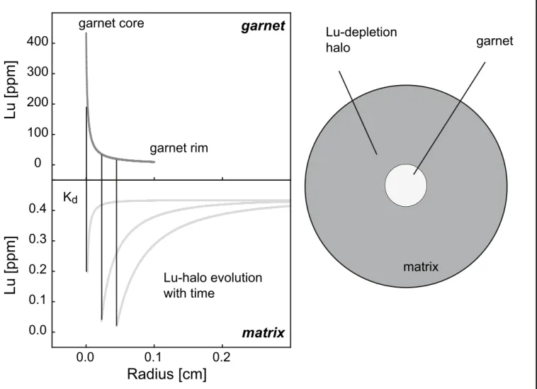 Fig. 6.  Illustration of the development of the sharp, exponentially decreasing central Lu peak using a diffusion-limited rEE uptake model