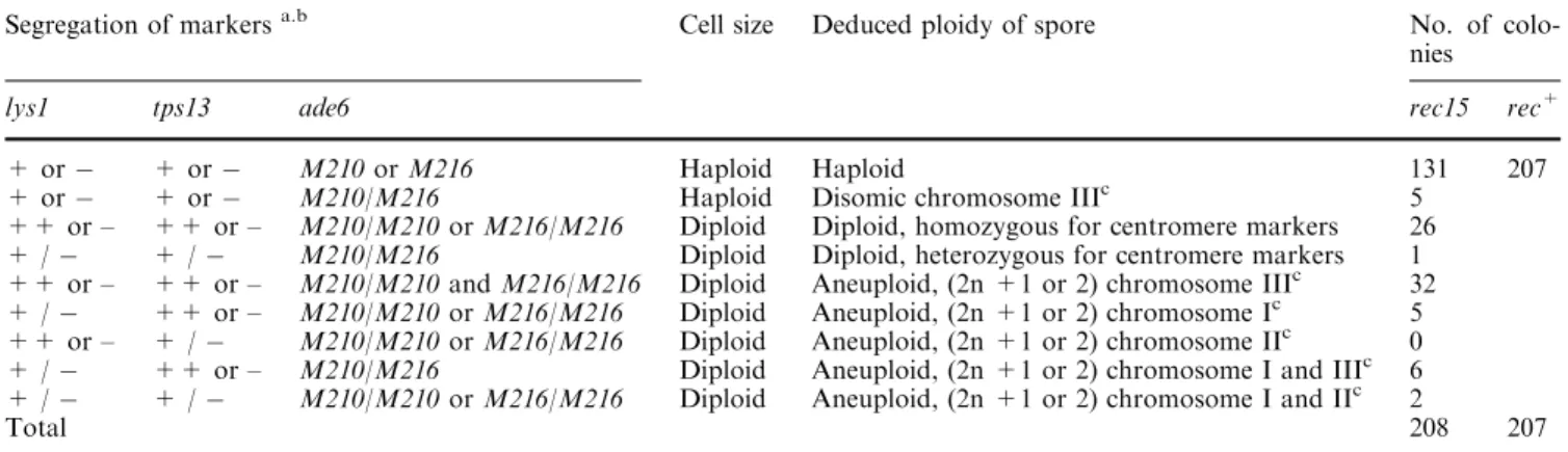 Table 2 Random spore analysis of chromosome segregation in rec15-154::LEU2 and rec + crosses