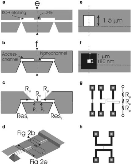Fig. 1 Fabrication scheme: