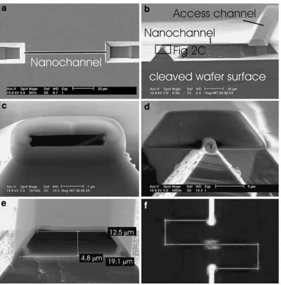 Fig. 2 SEM-characterization and ﬁlling: a SEM view of the top wafer showing the microﬂuidic access channels and the future nanochannel.