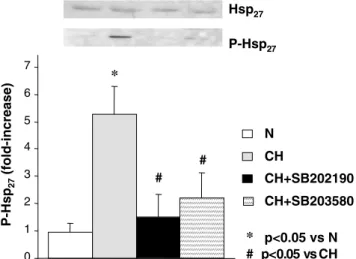 Fig. 3 Apoptosis in N (white), AH (bright grey), SAH (dark grey), CH (black), and CHA (hatched bars) hearts