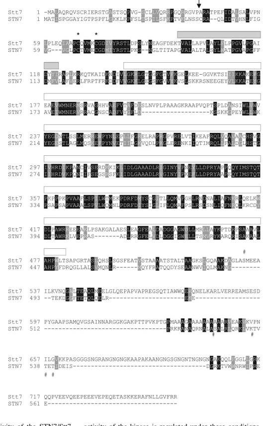 Fig. 2 Sequence comparison of the Stt7 kinase from