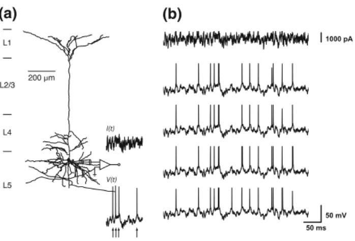 Fig. 1 Challenge A 2007. a A cortical pyramidal neuron was stimulated by injection of randomly fluctuating currents of various amplitudes