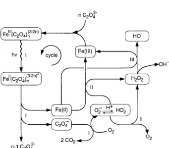 Figure 3. Scheme of hydroxyl radical ( C OH) formation in photo- photo-Fenton systems