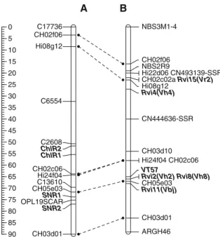 Fig. 2 Genetic mapping of ChlR1, ChlR2, SNR1 and SNR2 and comparison with the six scab resistance genes known on LG 2