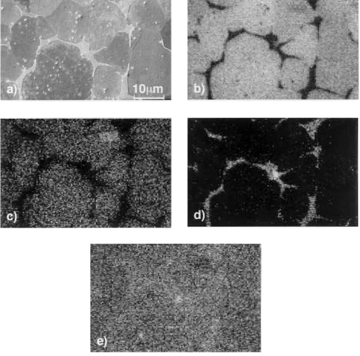 Figure 3 SAM images of the coarse Ti6A17Nb native oxide layer (information depth: 3±10 nm); (a) secondary electron image of the analyzed area;
