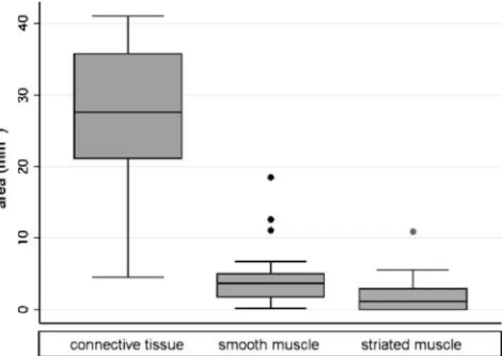 Fig. 3 Descending proportion of the area of smooth muscle, striated muscle, and connective tissue in the urogenital diaphragm