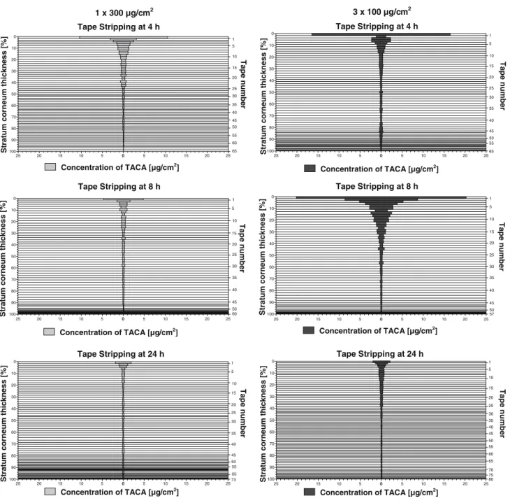 Fig. 2 Typical penetration proWles of TACA into stratum corne- corne-um during time (4, 8, 24 h) after application of 1£300 g/cm 2  vs.