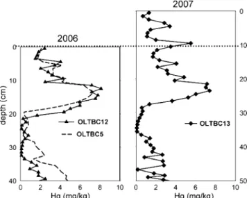 Fig. 2 Mercury concentration profiles in sediments from cores recovered in 2006 (OLTBC5, OLTBC12) and 2007 (OLTBC13)