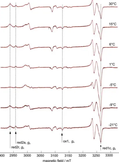 Fig. 3 CW EPR spectra (black lines) and spectral simulations (red lines) of MCR red1/red2 at W-band (approximately 94 GHz) and at 213 C as a function of the incubation temperature before freeze–