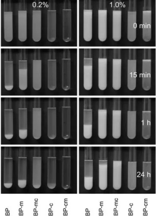 Fig. 5 Time-dependent sedimentation experiments of treated and untreated RBP in concentrations of 0.2 and 1.0%