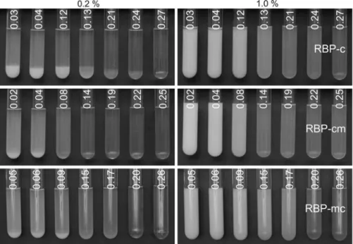 Fig. 8 Photographs of water-redispersed, treated RBP with various DS, at concentrations of 0.2 and 1.0% after 20 h