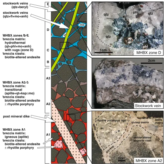 Fig. 2 Schematic vertical section through the Goat Hill and D ore bodies showing the gradually change from pure igneous to pure hydrothermal breccia matrix in the MHBX
