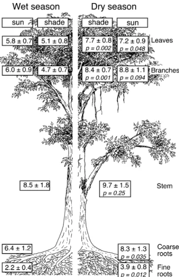 Fig. 1 Wet and dry season means of concentrations in non- non-structural carbohydrates (dry matter % ± SE, in large starch) for those nine tree species in which all tissues at all seasons were sampled in at least two trees (data for 2 years pooled before s