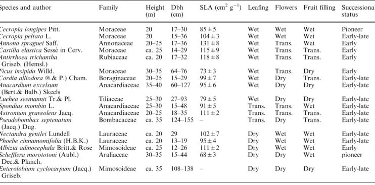 Table 1 List of study species (sorted by phenology), their common mature height, measured diameter at breast height (Dbh), speciﬁc leaf area (fully sunlit leaves only), phenological characteristics (based on J