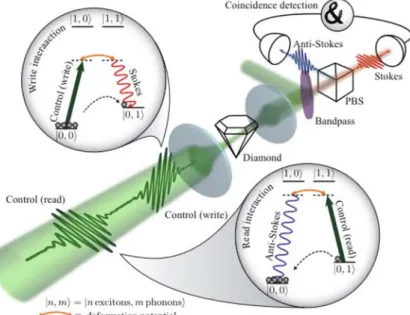 Fig. 10. Creation and detection of phonon excita- excita-tions in diamond. A pair of 50 fs control pulses are focussed into a crystal of diamond