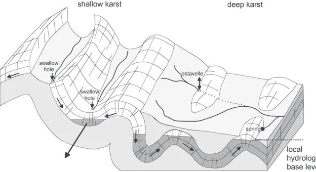 Fig. 15. Schematic illustration of the relation between fold structures,  hy-drologic base level, surface and  under-ground drainage in an alpine karst  sys-tem with strong stratigraphic flow control