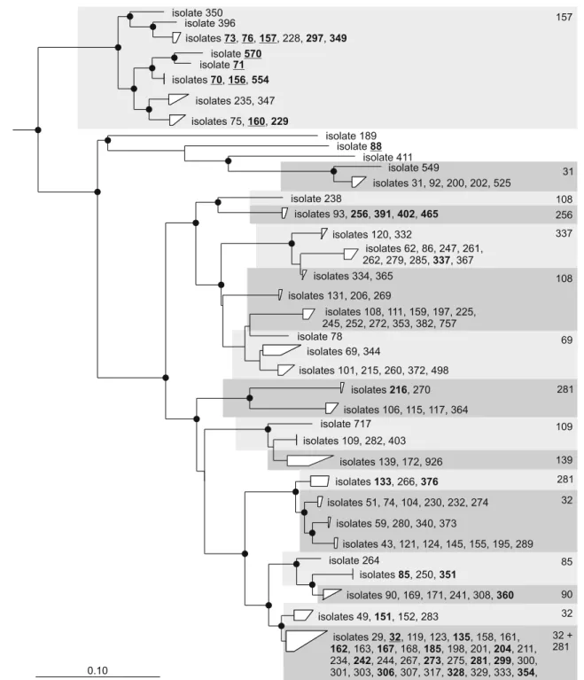 Figure 2 Phylogenetic tree summarizing the results of the first competition experiment