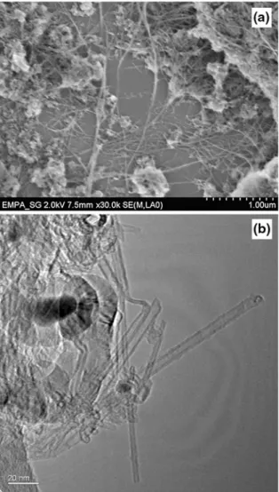 Fig. 1 High-resolution SEM (a) and TEM (b) images of as- as-received XD grade CNT raw material