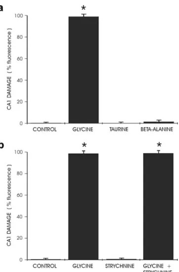 Fig. 2 a Exposure to the inhibitory glycine receptor agonists taurine or β -alanine (10 mM each) did not cause any cell damage in area CA1 (* P &lt;0.0001 compared to controls, n =12 per group)