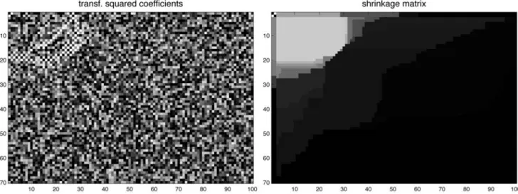 Fig. 4 Shrinkage estimation: Transformed squared coefficients Z ˜ ij 2 /(1 + ˜ Z ij 2 ) (left) and bimonotone shrinkage matrix γ ˆ (right)