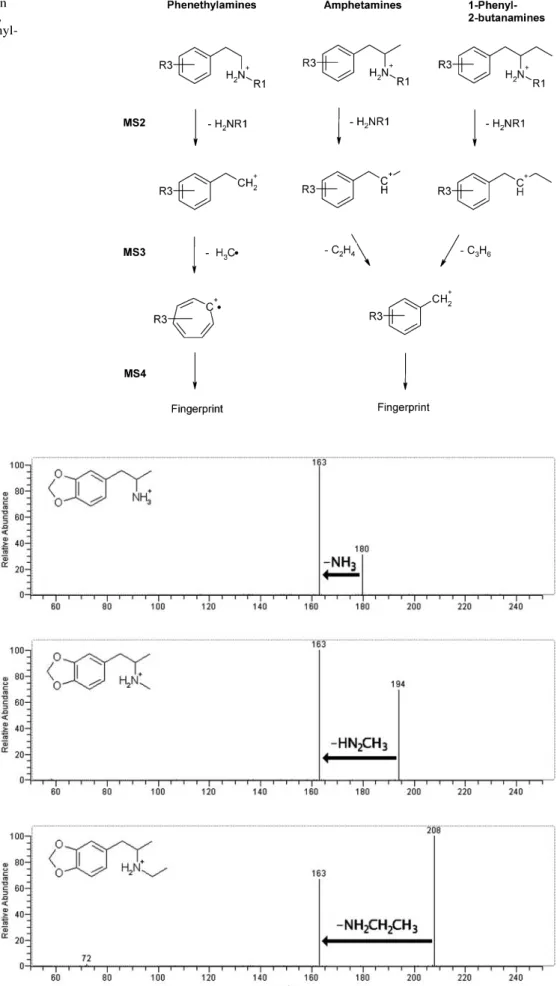 Fig. 3 Principal MS n fragmentation behavior of phenethylamines (left), amphetamines (middle) and  1-phenyl-2-butanamines (right)