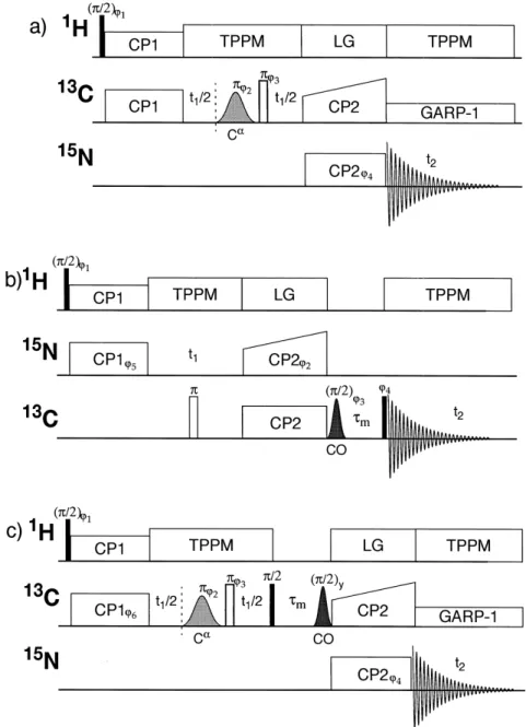 Figure 1. Pulse sequences to correlate 13 C chemical shifts with 15 N shifts: (a) CAN experiment, correlating 13 C– 15 N pairs within a residue;