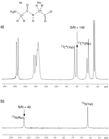 Figure 2. 1D single-pulse spectra (no cross polarization from protons) of the fully 13 C/ 15 N-labelled dipeptide L-Val-L-Phe: (a) 13 C spectrum;