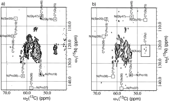 Figure 5. Sections of the heteronuclear 2D correlation spectra of 13 C/ 15 N-Iabelled ubiquitin using (a) the N i+1 (CO)CA i pulse sequence of Figure 1b and (b) the CA i (CO)N i+1 pulse sequence of Figure 1c