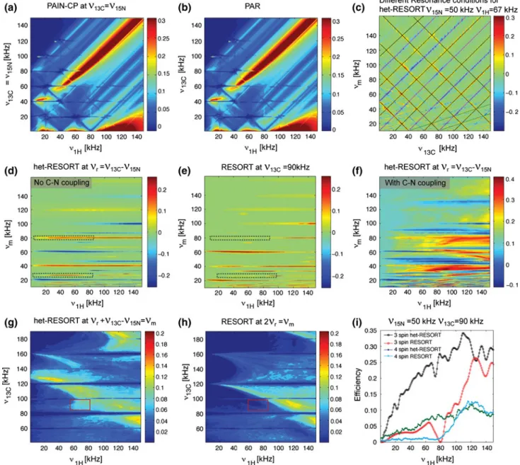 Fig. 2 Numerical simulation of the polarization-transfer efficiencies for heteronuclear and homonuclear PAIN-CP/PAR recoupling schemes in comparison to the het-RESORT and RESORT recoupling scheme