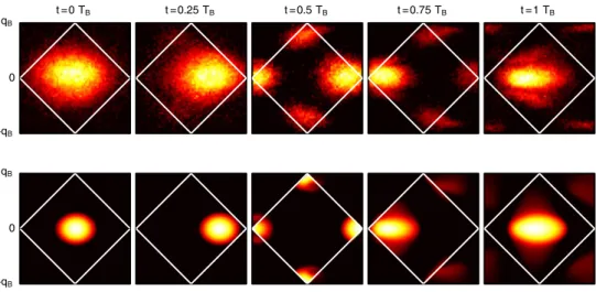 Fig. 8. Time-resolved Bloch oscillations. Comparison of the quasi-momentum distrib- distrib-ution for Bloch oscillations resulting from a force pointing along x in the experiment (top) and in the numerical simulation of a 2D trapped system for N = 256 atom