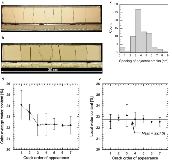 Fig. 2 Experimental desiccation crack patterns. a Final crack pattern with height fractures, top view (upper picture) and side view (lower picture)